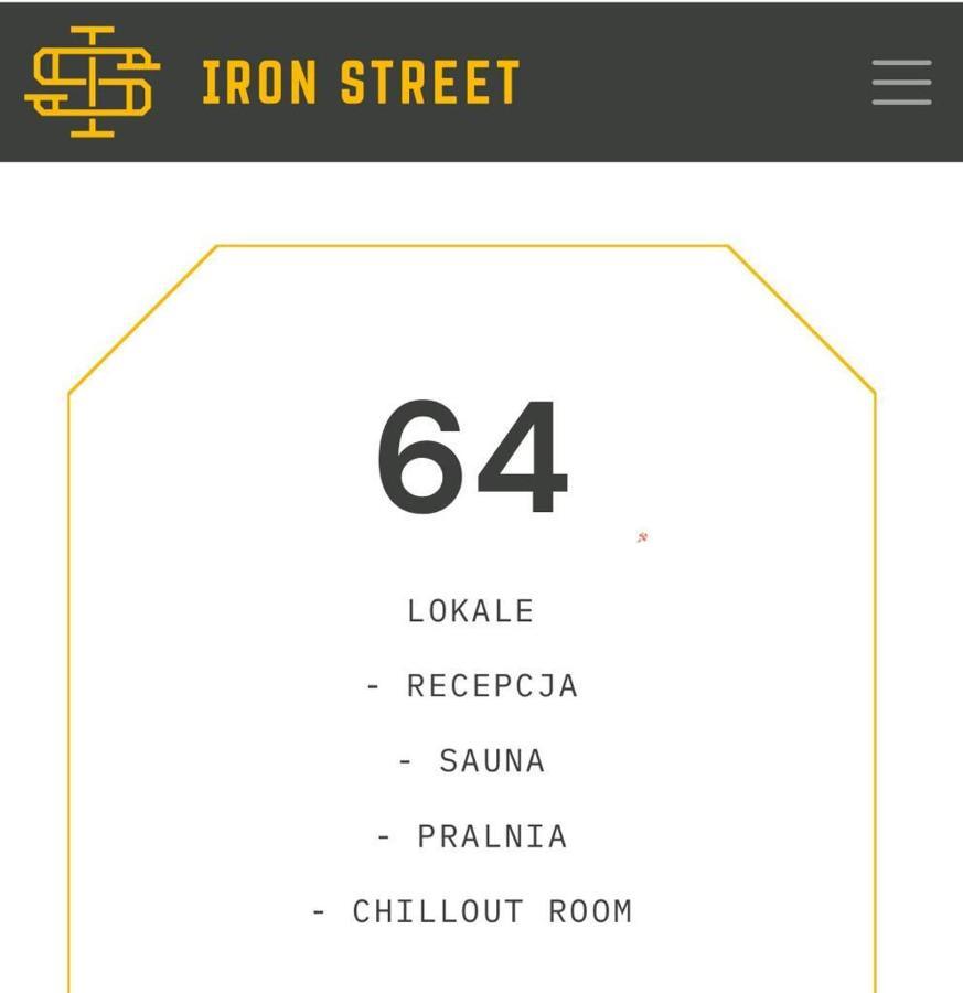 Iron Street Old Town Deluxe Apartment Wawelofts *